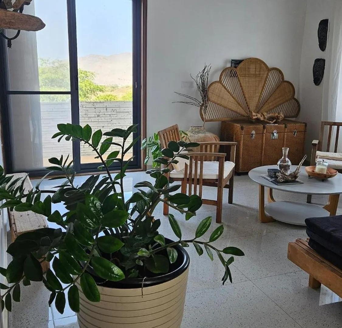 Villa Serene Escape In Porto Madeira Sao Domingos